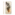 WK God 17 Soft Watercolor Peacock mobile skin