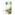 WK God 73 Bal Hanuman Tree Mobile Skin